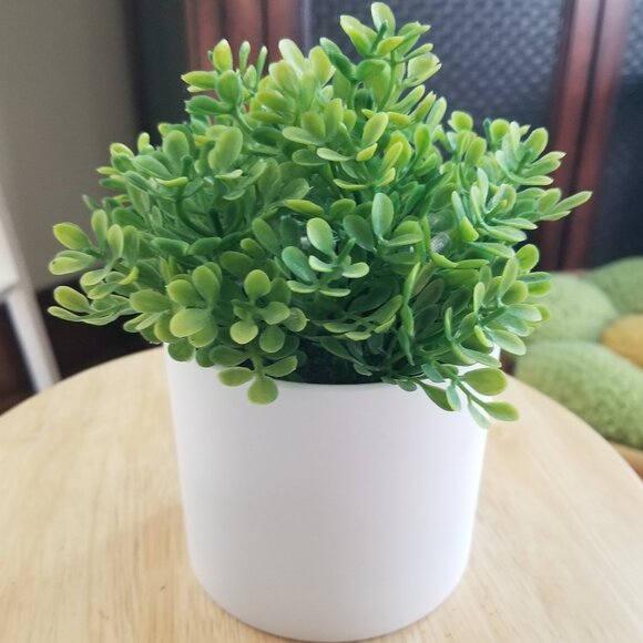 Other - Faux Decorative Plant